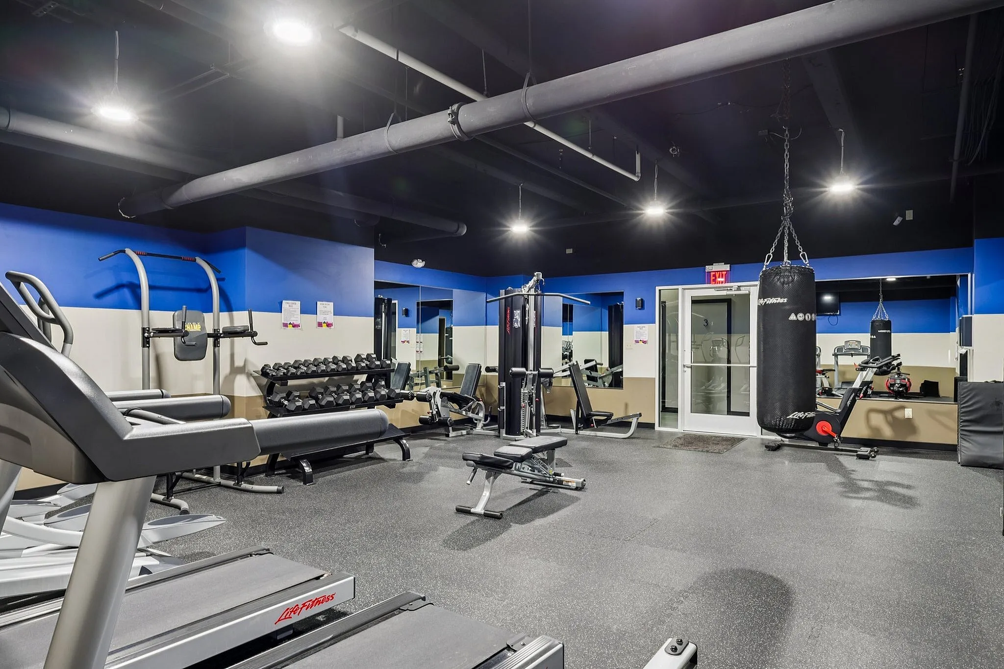 Modern fitness center equipped with state-of-the-art treadmills, weight machines, and a punching bag in a spacious and well-lit area.