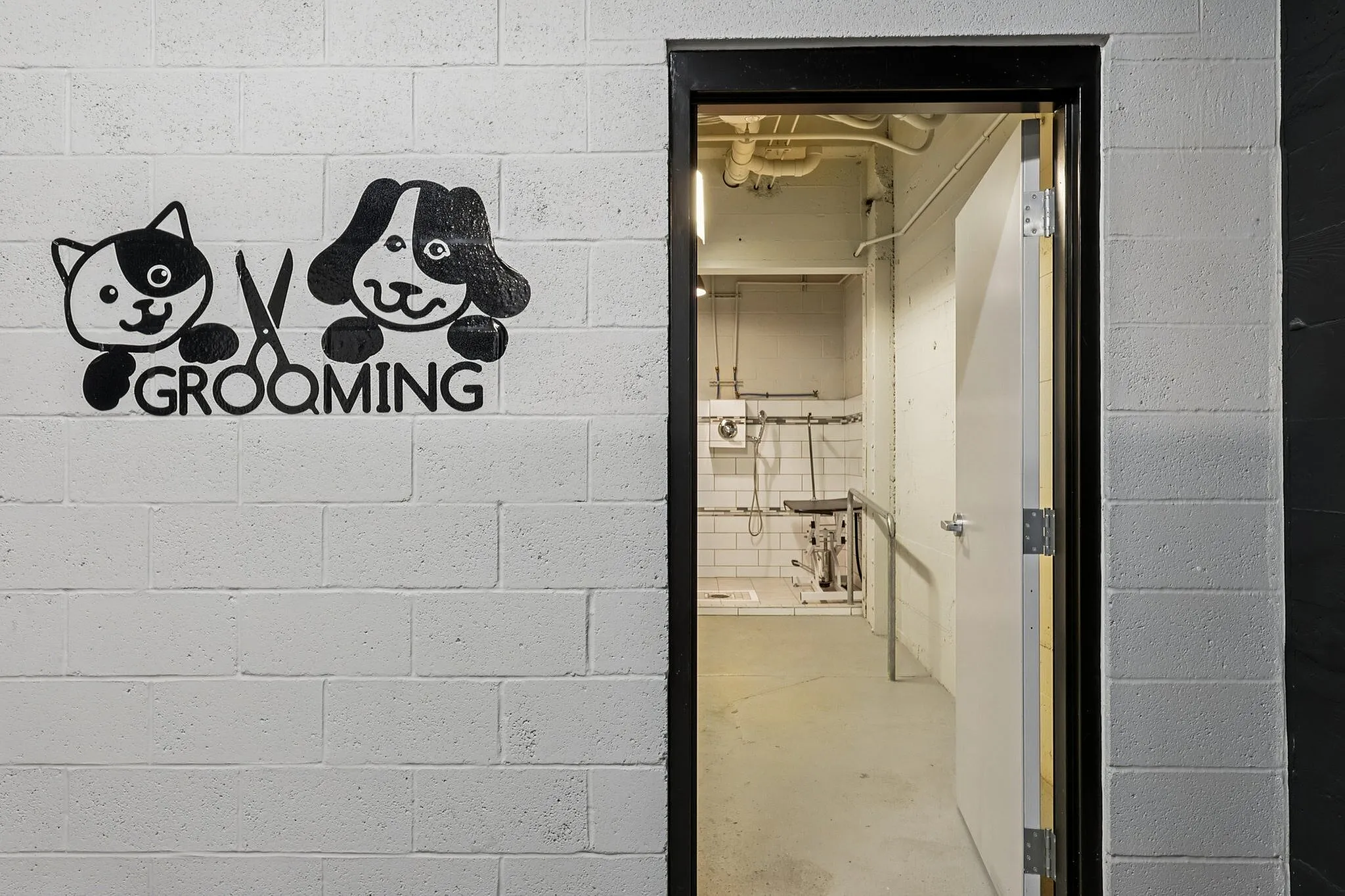 Charming pet grooming room with playful wall art, bright tiled interior, and a welcoming atmosphere for pets.