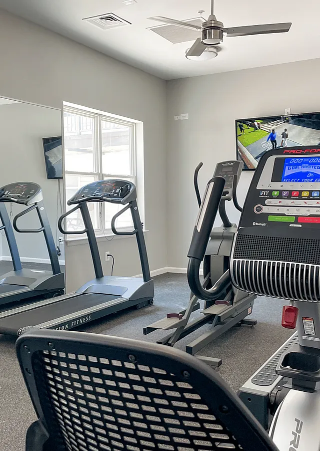 Modern gym with treadmills and exercise equipment alongside a large mirror and TV.
