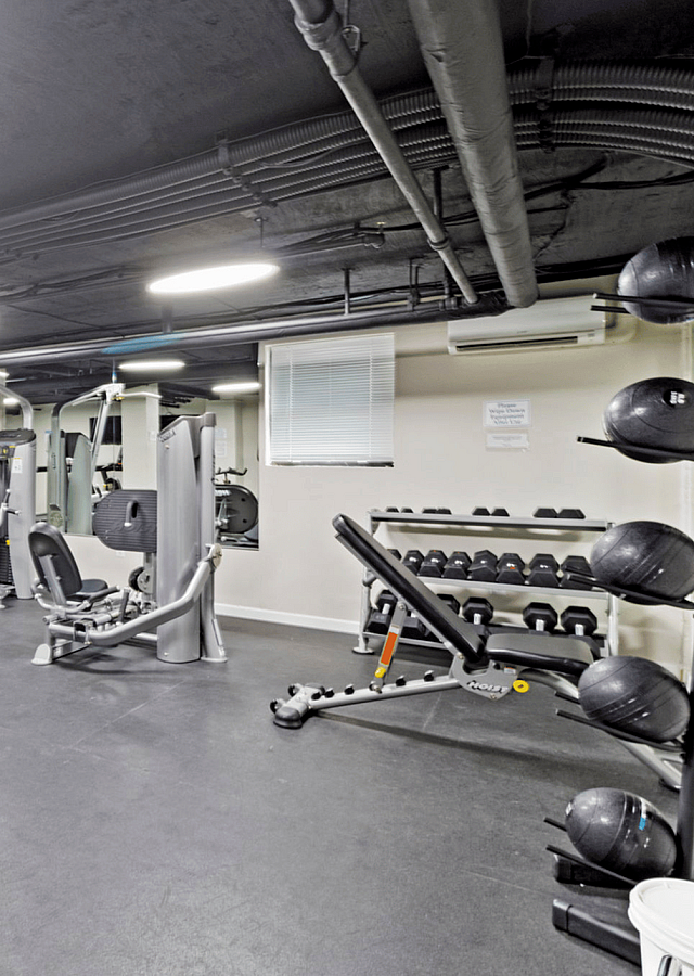 Modern fitness center with state-of-the-art equipment and scenic mural.