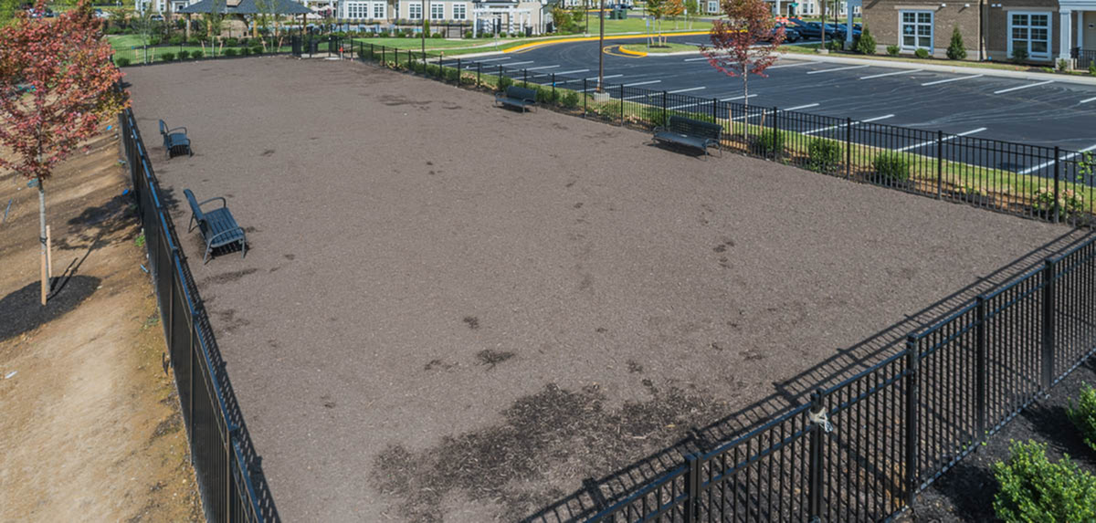 Expansive and secure outdoor dog park with benches, surrounded by a stylish wrought iron fence, offering a perfect space for pets to play and enjoy.