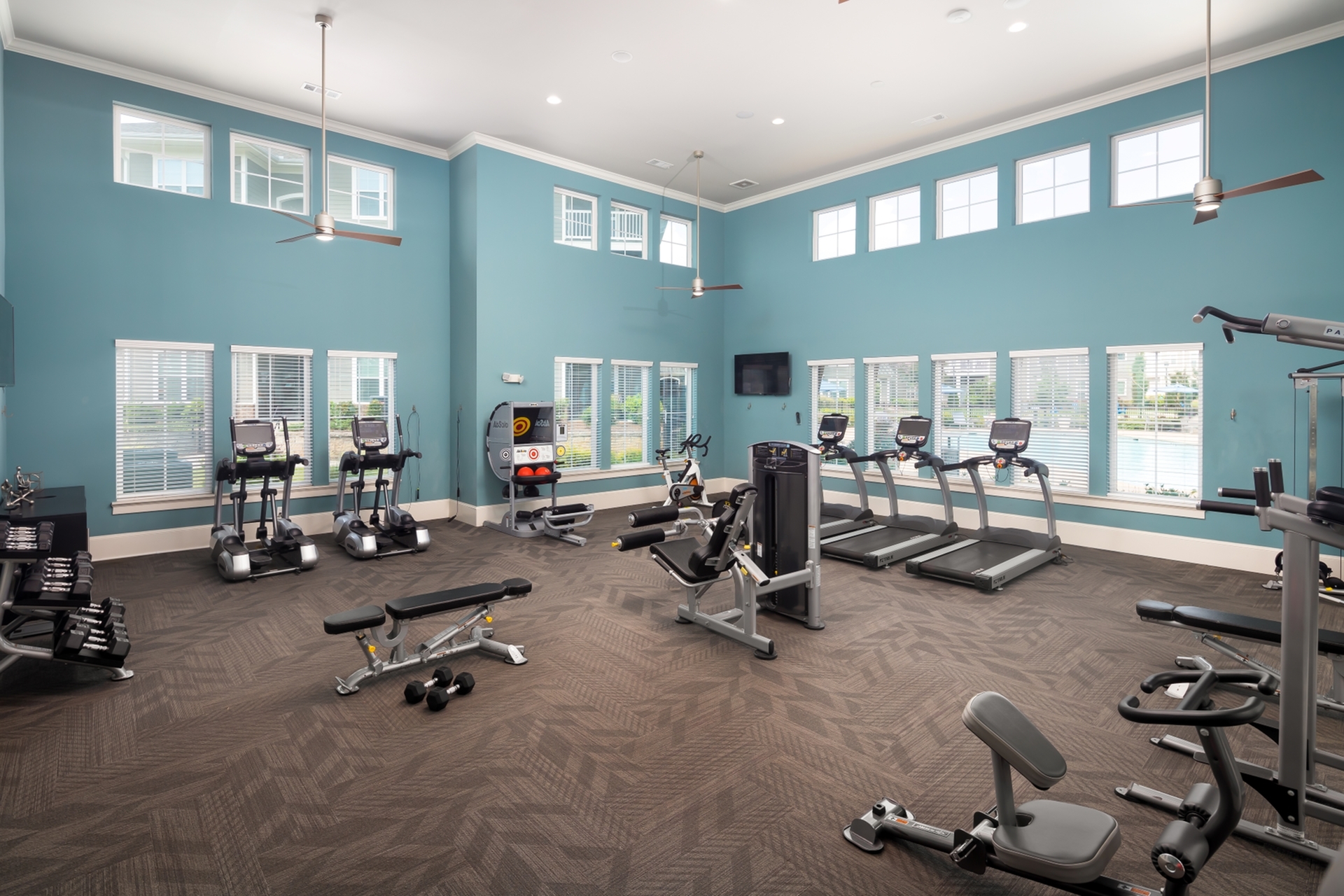 Bright and spacious gym with modern fitness equipment against serene blue walls and large windows.
