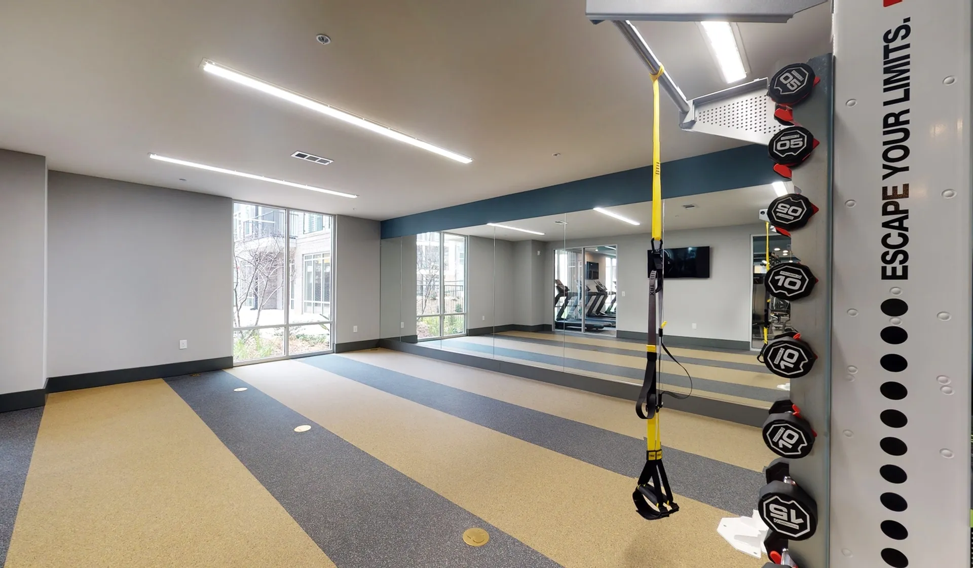 Modern fitness center featuring sleek TRX equipment, mirrored walls, and state-of-the-art exercise facilities.