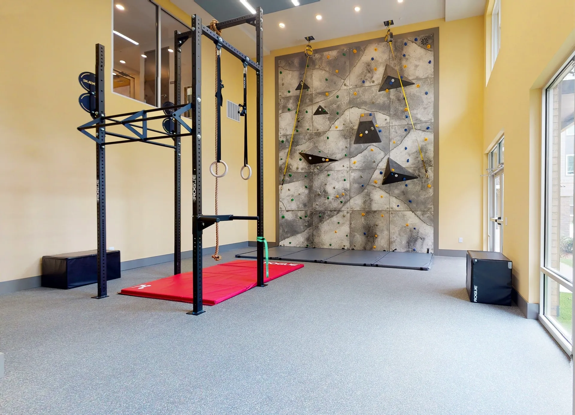 Vibrant fitness room featuring a climbing wall, gymnastic rings, and modern exercise equipment, illuminated by large windows for natural light.