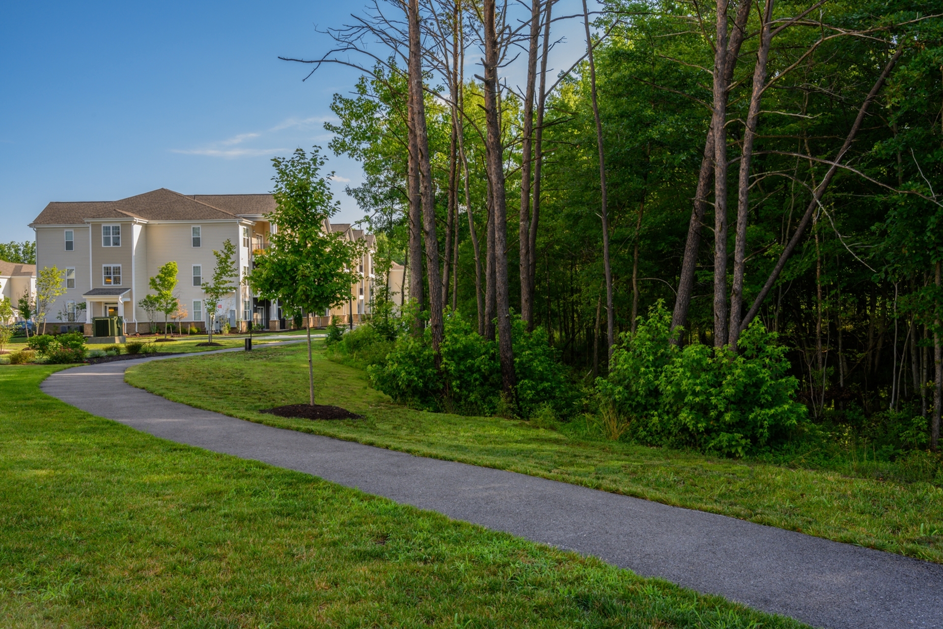 Charming apartment complex nestled beside a lush wooded area with a scenic walking path, perfect for nature lovers.