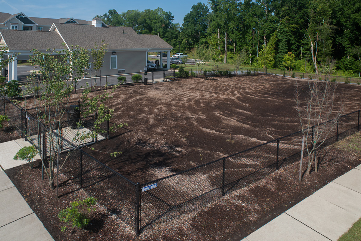 Expansive fenced outdoor area with lush greenery, ideal for landscaping in a beautiful residential setting.