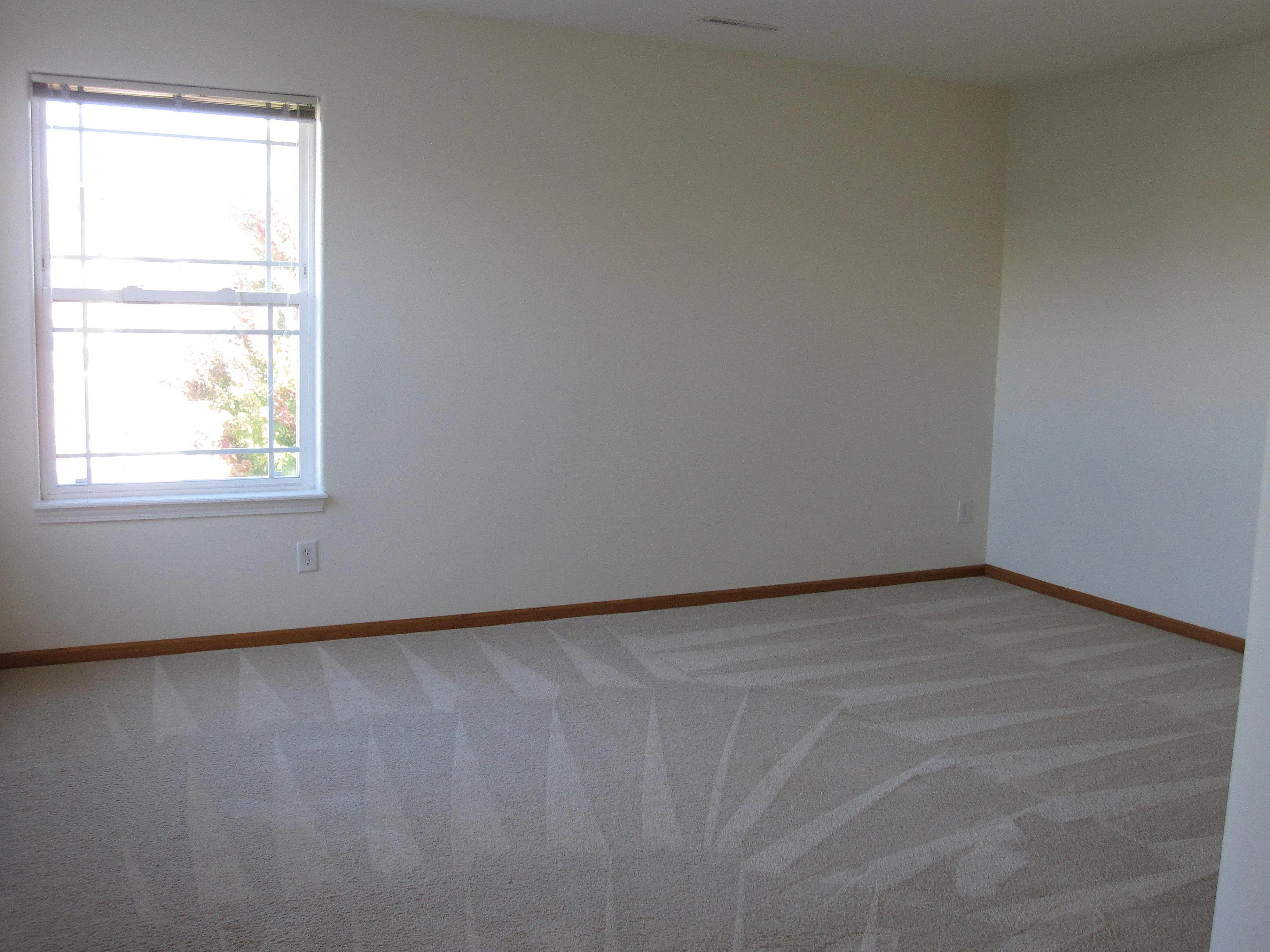 Bright, sunlit room with plush carpet and large window, perfect for a cozy bedroom retreat.