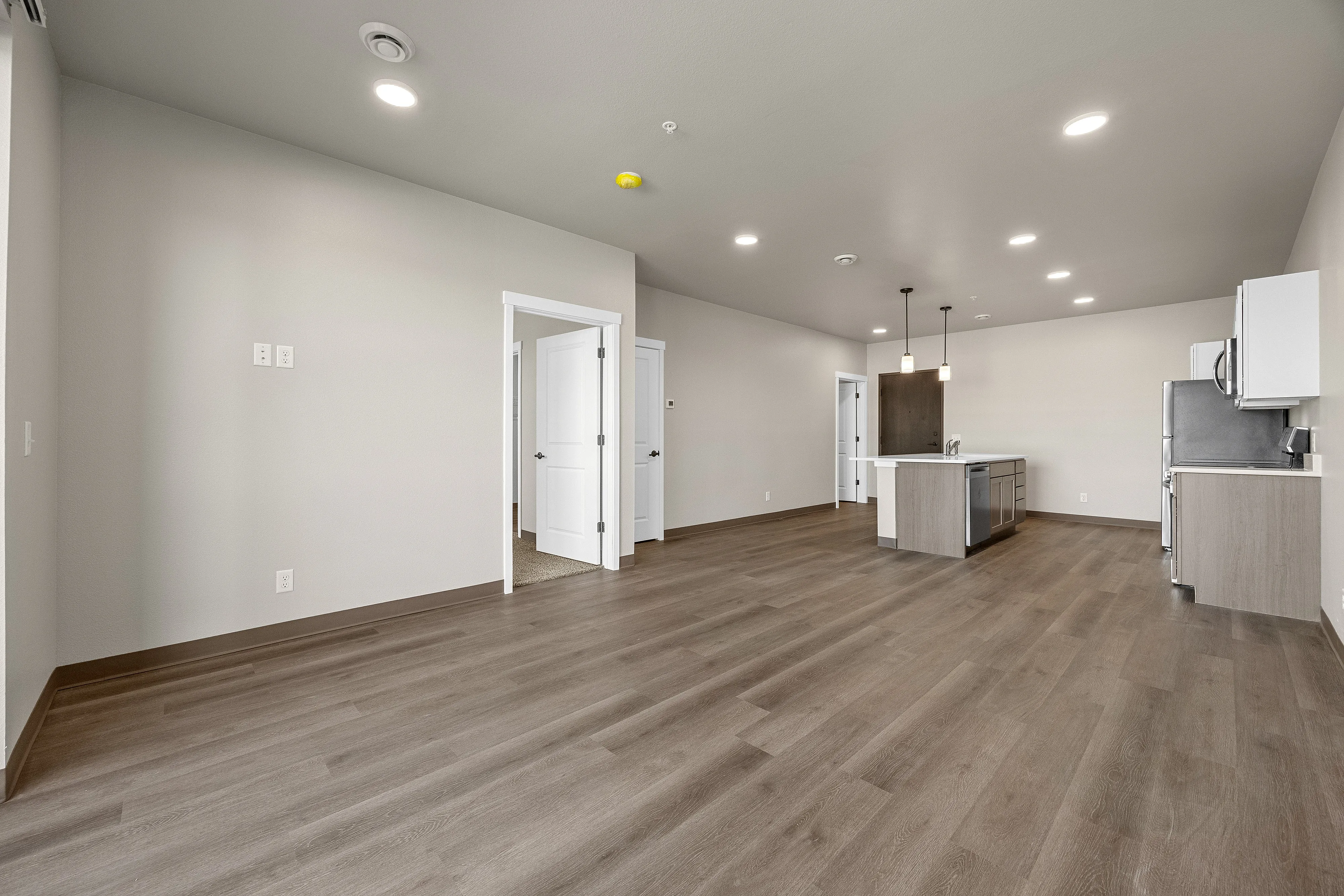 Living Room / Kitchen