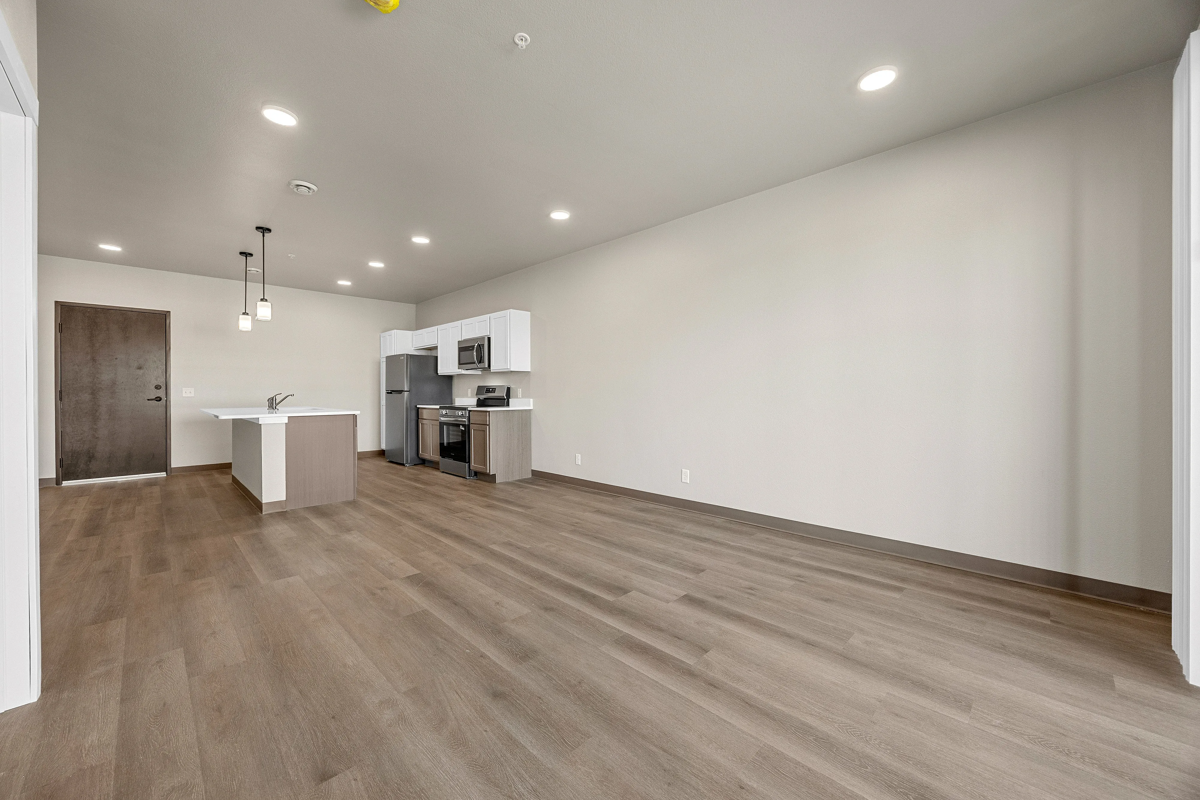 Living Room / Kitchen