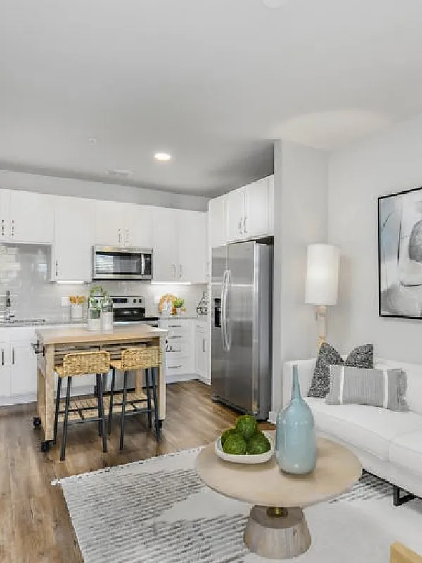 Modern open-concept living room and kitchen featuring chic decor, cozy seating, and sleek stainless steel appliances.
