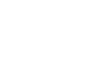 Elegant logo of The Sante featuring a stylized white fern leaf on a black background with the text 'On Wellness Way.'