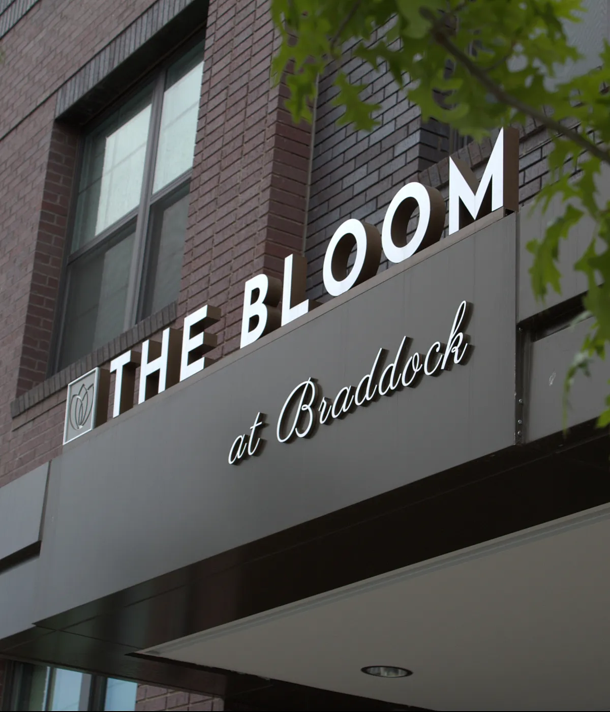 Bloom Sign above entrance to building