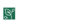 Logo of Lacy Court Apartments with a green leaf graphic, conveying eco-friendly and serene living.