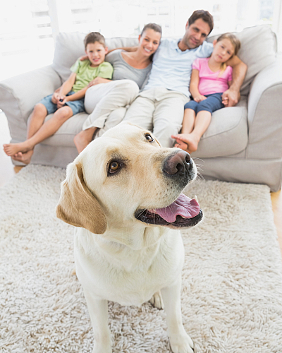 A cheerful family relaxing on a sofa in a bright living room, with a happy Labrador in the foreground.