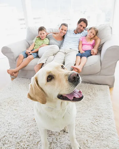 Happy family with a Labrador dog relaxing on a comfy sofa in a bright, airy living room.