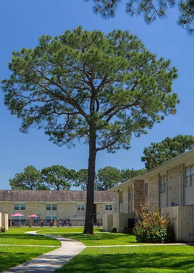 Beautiful courtyard with green lawns, mature trees, and brick apartments under a clear blue sky.