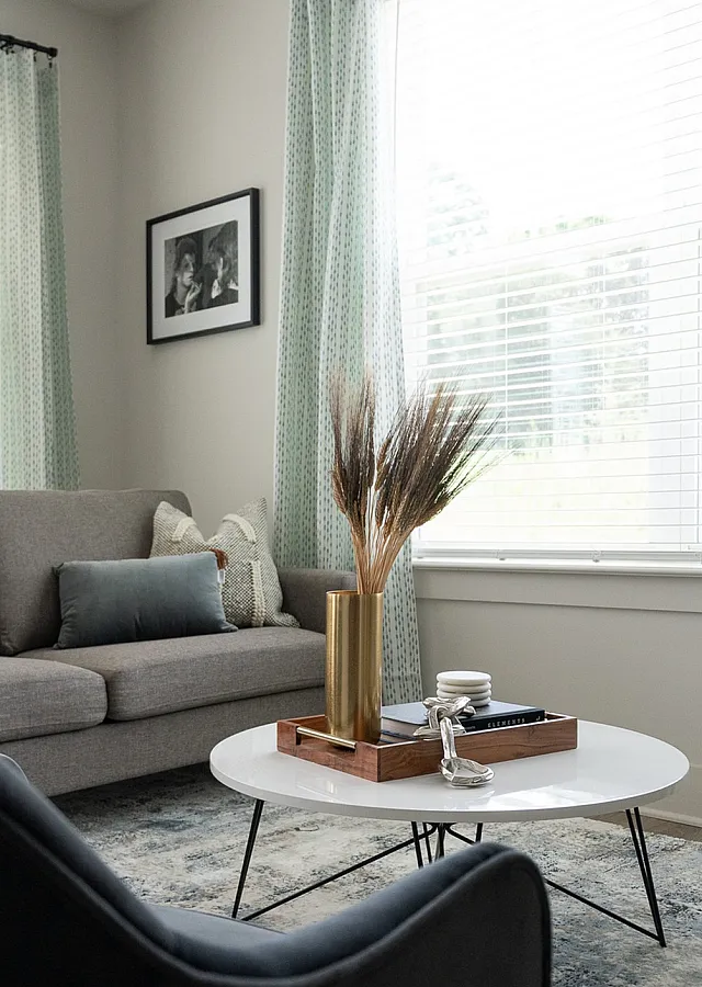 Bright and inviting living room with modern decor, featuring a comfortable gray sofa, chic black chairs, and a stylish coffee table with elegant accents.