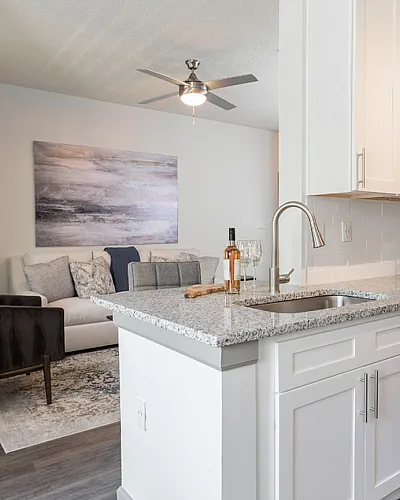 Modern open-plan apartment with elegant kitchen featuring sleek countertops, cozy living area with stylish decor, and ambient natural lighting.