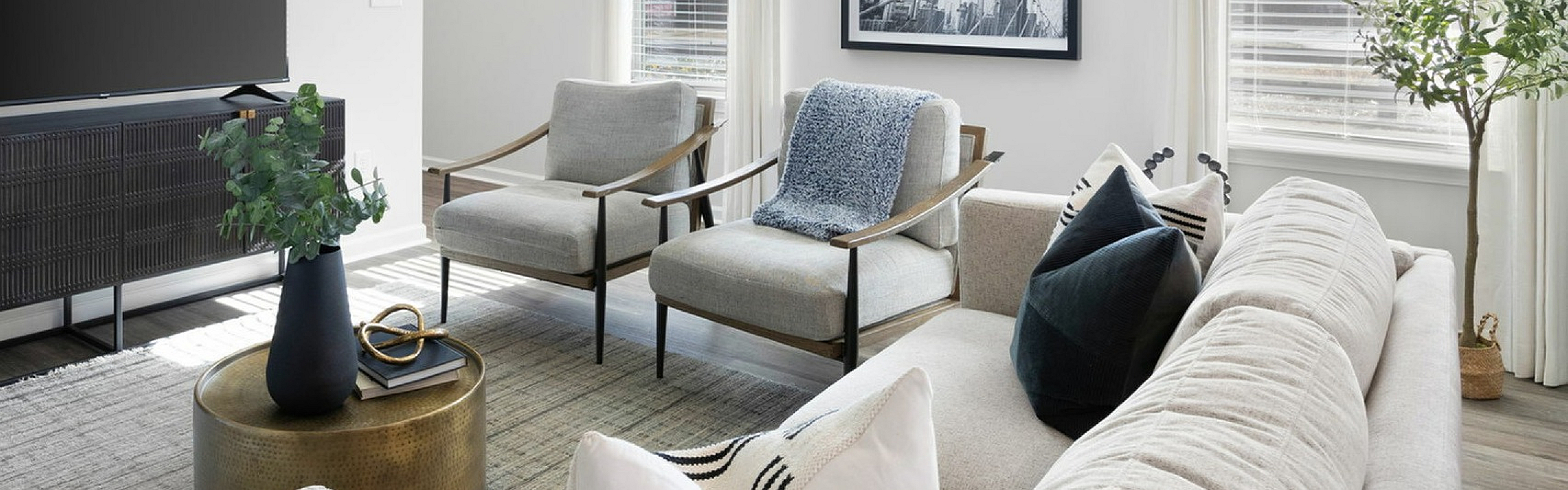 Contemporary living room featuring a sleek TV setup, cozy seating, stylish decor, and abundant natural light.