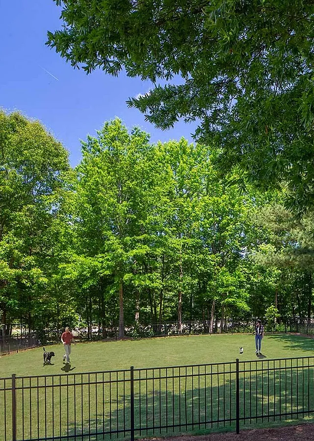 Serene dog park surrounded by lush trees, offering a perfect outdoor space for pet enjoyment and relaxation.