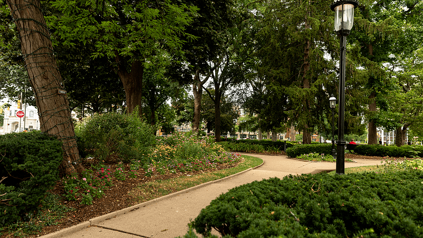 Serene park scene with vibrant wildflowers, towering trees, and a charming pathway featuring classic street lamps.