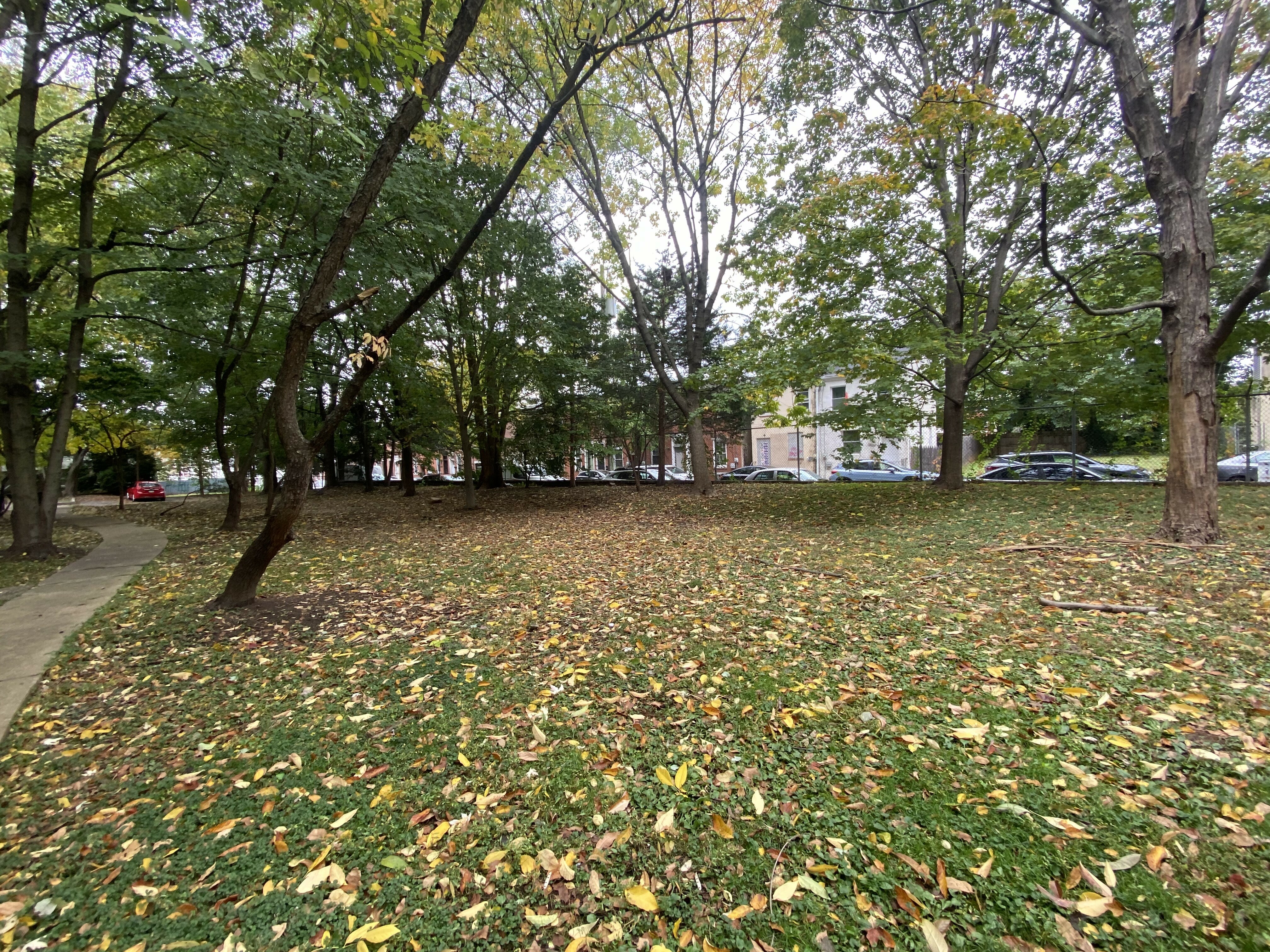 Charming park view with lush green trees and a tranquil walking path, perfect for a relaxing outdoor escape.