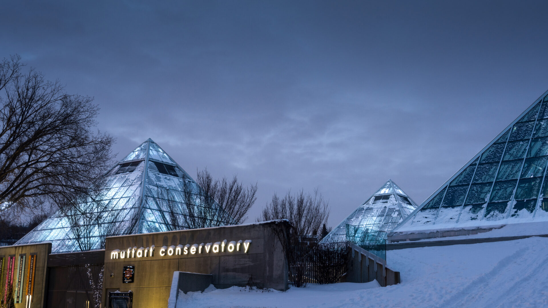 Winter Activities Every Sir John Franklin Resident Should Experience This Season-image