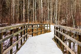 The Winter Activities Every Village at Southgate Resident Should Experience-image