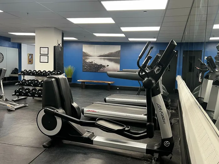 A 24/7 Fitness Centre: Keeping Your Wellness Routine on Track on Your Own Schedule-image