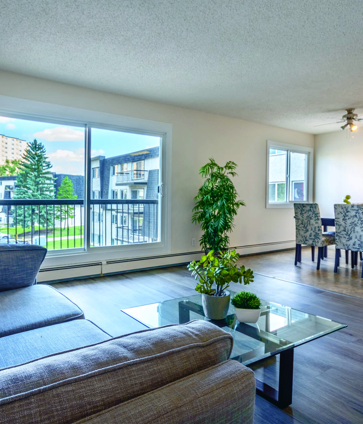 Bright and modern living room with large windows, elegant decor, and a lush indoor plant, offering a welcoming atmosphere.