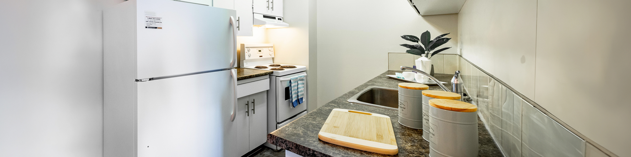 Modern kitchen with sleek countertops, white cabinets, and stylish decor, ideal for culinary enthusiasts.
