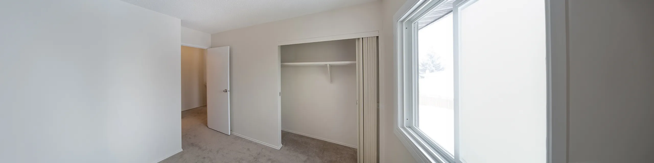 Bright and inviting bedroom featuring a large window, spacious closet, and neutral-toned carpet for a cozy atmosphere.