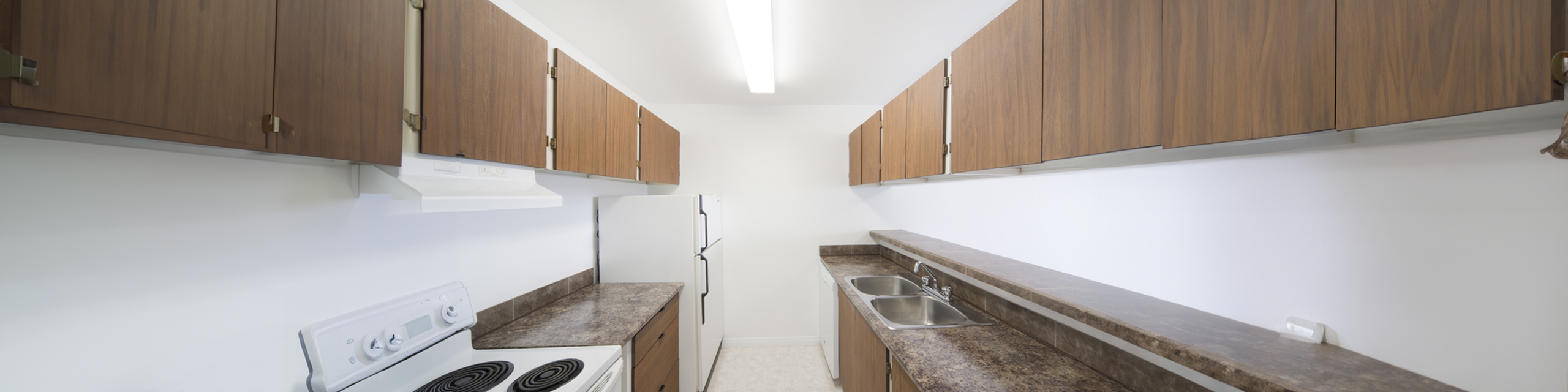 Elegant kitchen with sleek countertops, ample cabinet space, and modern appliances, perfect for culinary enthusiasts.