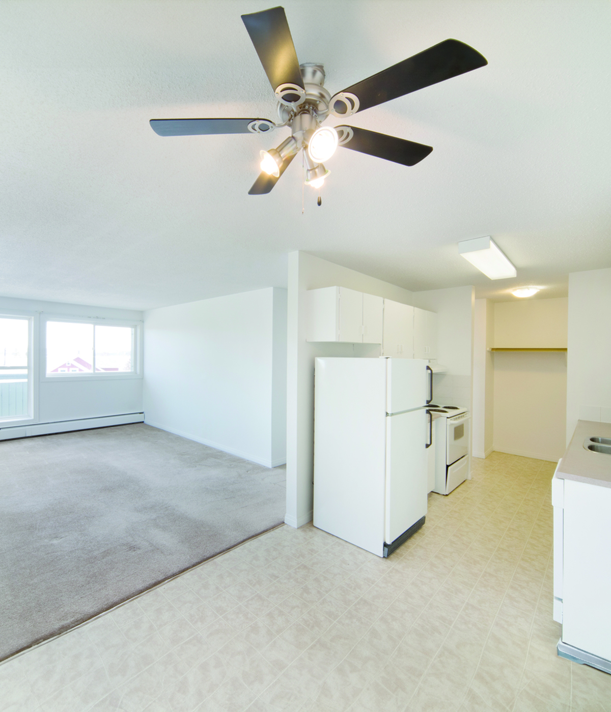 Bright and airy open-plan apartment showcasing modern kitchen, hardwood floors, and ample natural light.
