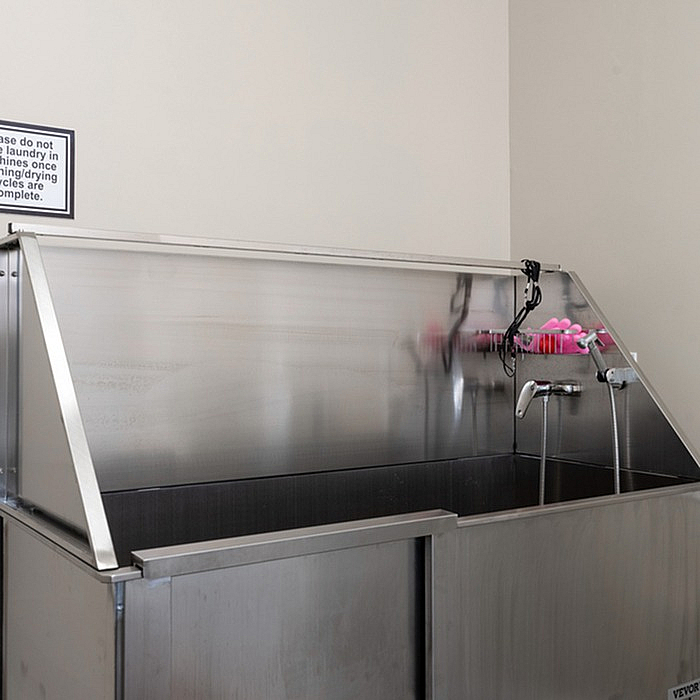 Sleek and hygienic pet washing station with stainless steel finish and practical fixtures.