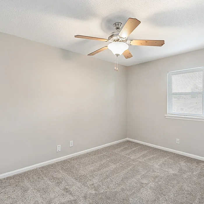 Bright empty room with a beige carpet and a ceiling fan, featuring neutral walls and a sunlit window.