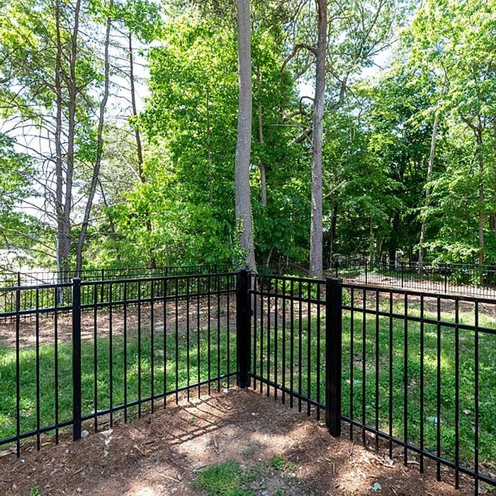Lush green backyard with a sturdy black metal fence surrounded by tall trees.