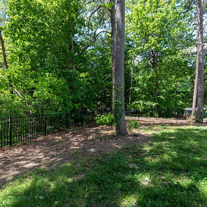 Lush backyard surrounded by vibrant trees offering a serene natural setting.