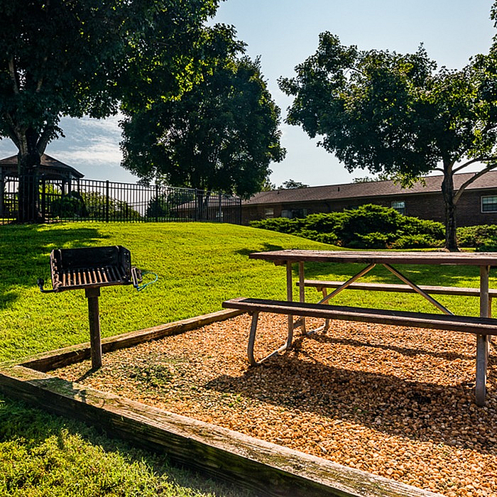 Inviting outdoor picnic area with a barbecue grill surrounded by lush greenery and shaded by mature trees.