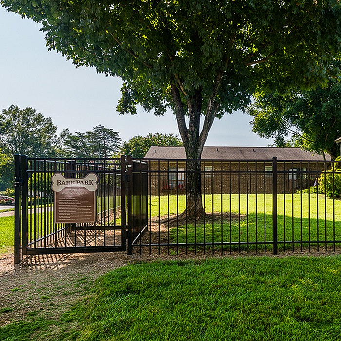 Inviting dog park with lush greenery, secure fencing, and a welcoming atmosphere for pets and owners.