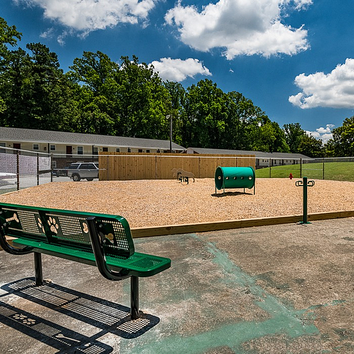 Inviting outdoor dog park area with agility equipment, surrounded by lush trees and clear blue skies, perfect for pet-friendly living.