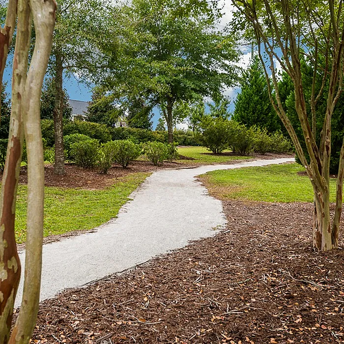 Serene garden pathway adorned with lush greenery and vibrant trees, ideal for peaceful strolls and outdoor enjoyment.