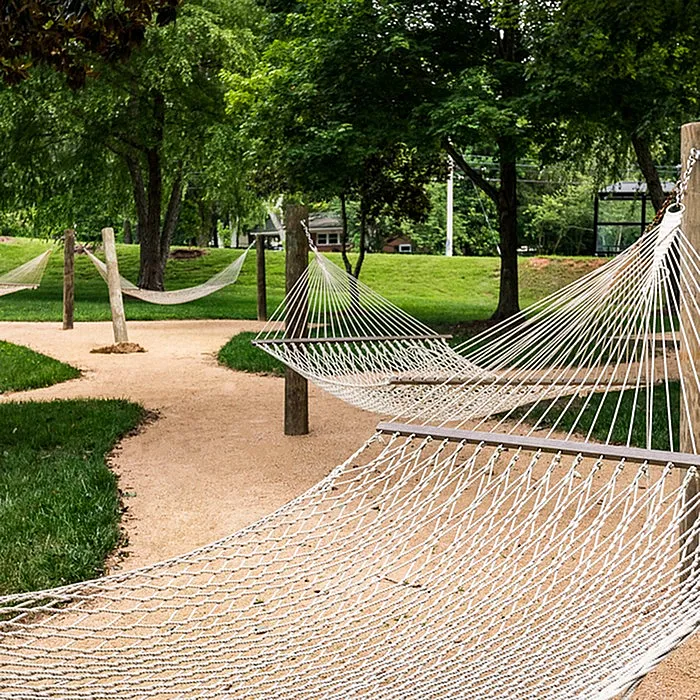 Tranquil outdoor setting with multiple hammocks under lush green trees, perfect for relaxation in a serene park atmosphere.
