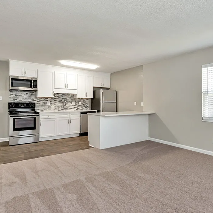 Inviting open-concept kitchen and living area with modern appliances and sleek finishes, perfect for entertaining.
