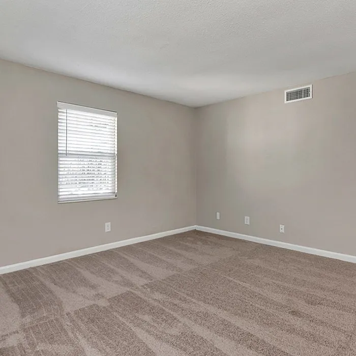Bright and spacious empty room featuring plush carpet, neutral walls, and a large window, perfect for personalization.