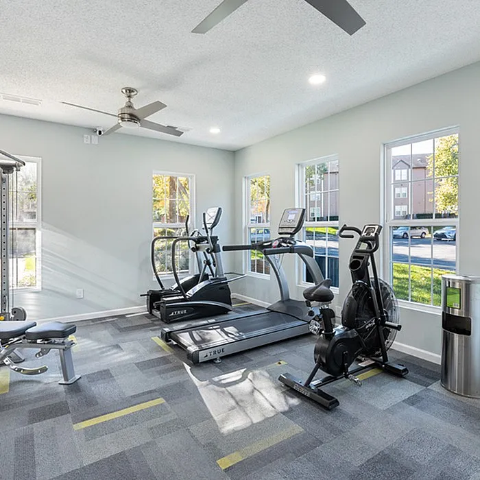 Bright and modern fitness room with sleek equipment and large windows overlooking green spaces.