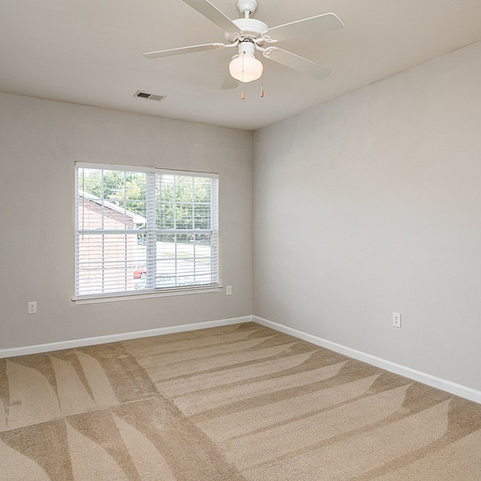 Bright, airy empty room with a large window, plush carpet, and ceiling fan, perfect for a cozy bedroom retreat.