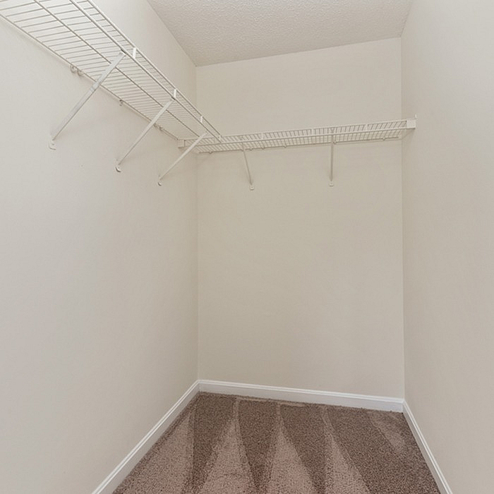 Bright and spacious walk-in closet with plush carpeting and ample shelving, perfect for organized living.