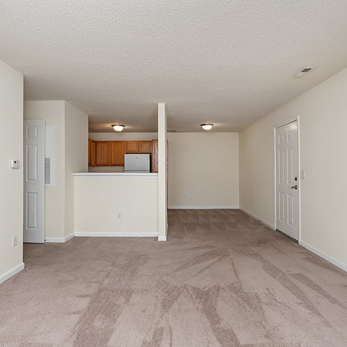 Bright open-concept living area with plush carpet and adjacent kitchen, ideal for modern living.