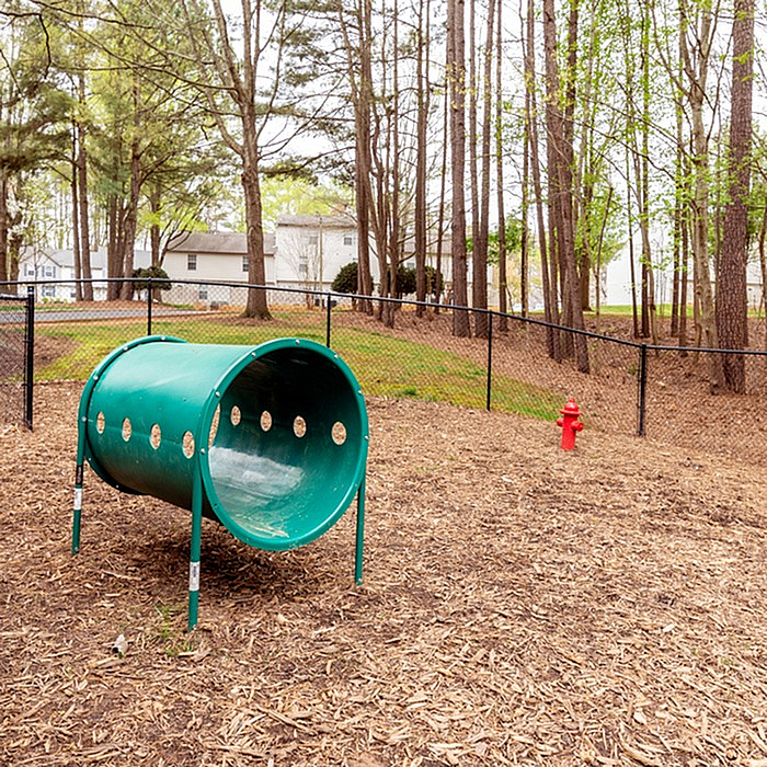 Inviting dog park with vibrant agility tunnel set in a serene wooded area, perfect for active pets.